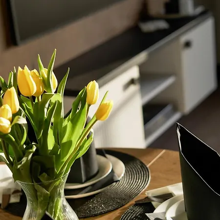 דירה Sloneczne Tarasy & גרצי'יבובו