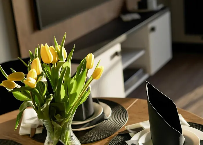 公寓 Sloneczne Tarasy & 格里兹鲍