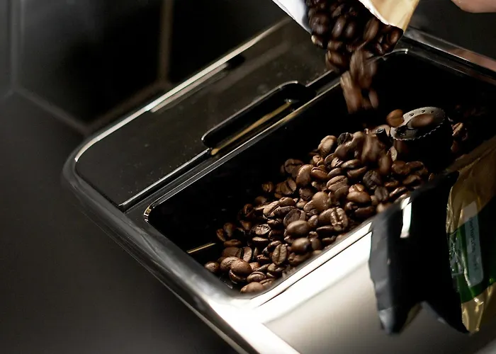 公寓 Sloneczne Tarasy &